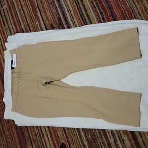 Chicos the so slimming slim leg Elyse petite 3 pants